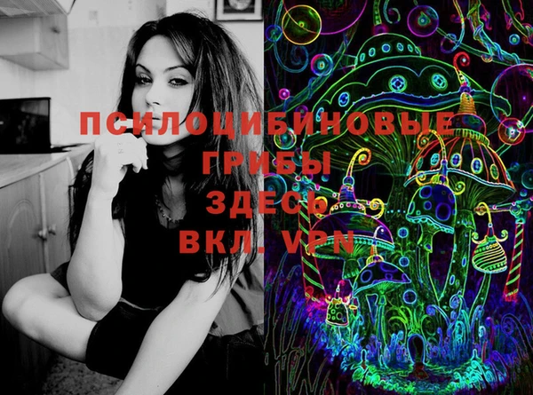 2c-b Вязьма