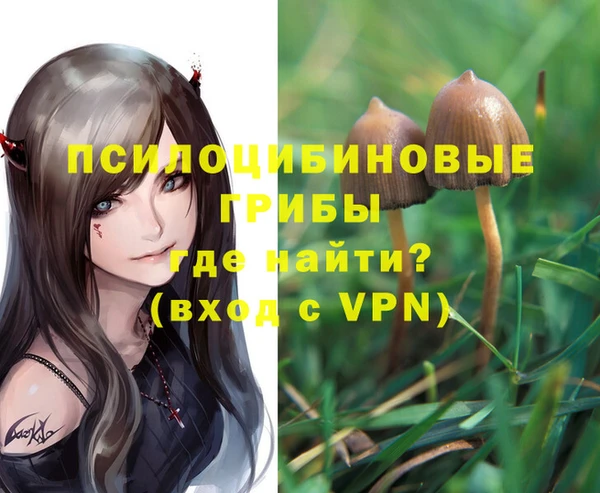 2c-b Вязьма